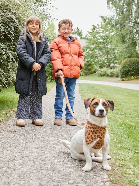 Fleece-Lined Lightweight Jacket, with Mittens or Gloves amber+fir green 
