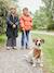 Fleece-Lined Lightweight Jacket, with Mittens or Gloves amber+fir green 