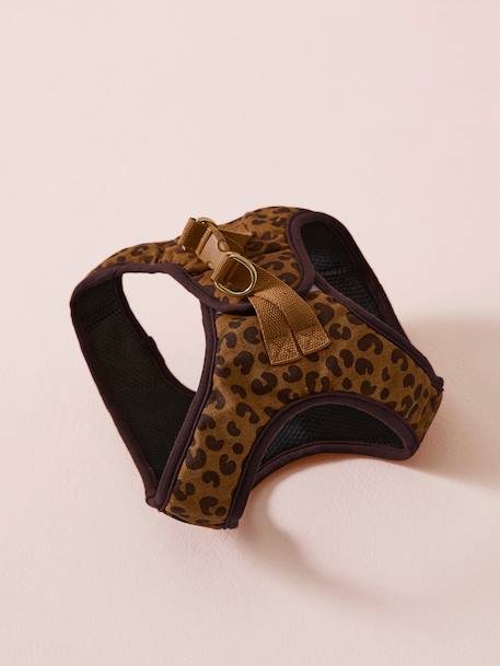 Dog Walking Set: Harness + Lead + Collar coffee 