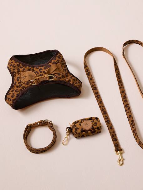 Dog Walking Set: Harness + Lead + Collar coffee 
