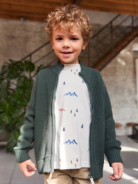 High Neck Long-Sleeved Cardigan for Boys green+navy blue 