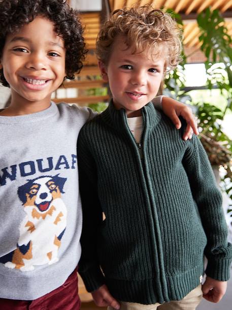 High Neck Long-Sleeved Cardigan for Boys green+navy blue 