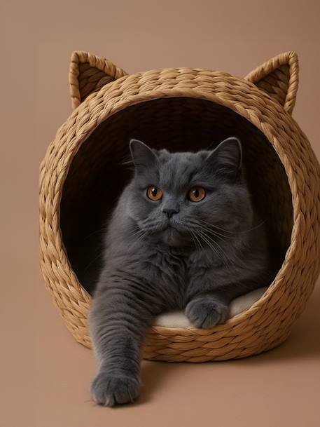 FAMLY water hyacinth cat basket beige 